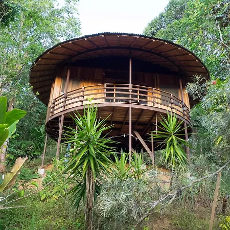 Paradiselodge Jungleguesthouse Platanillo Exterior photo