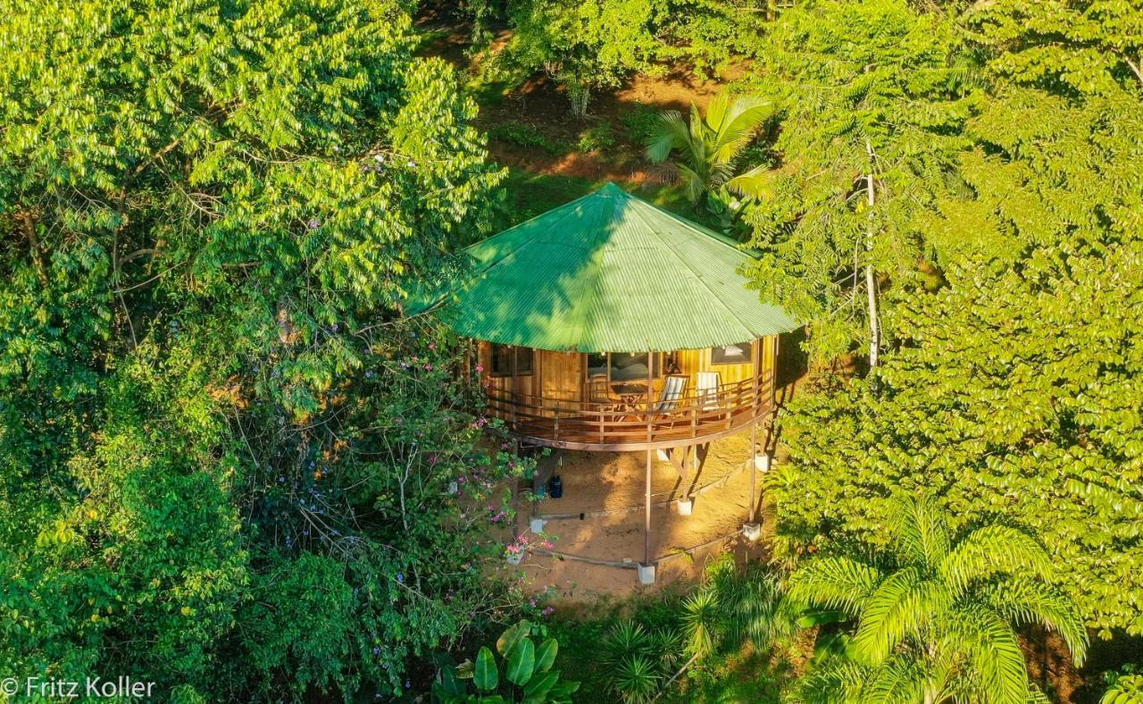 Paradiselodge Jungleguesthouse Holiday home Platanillo
