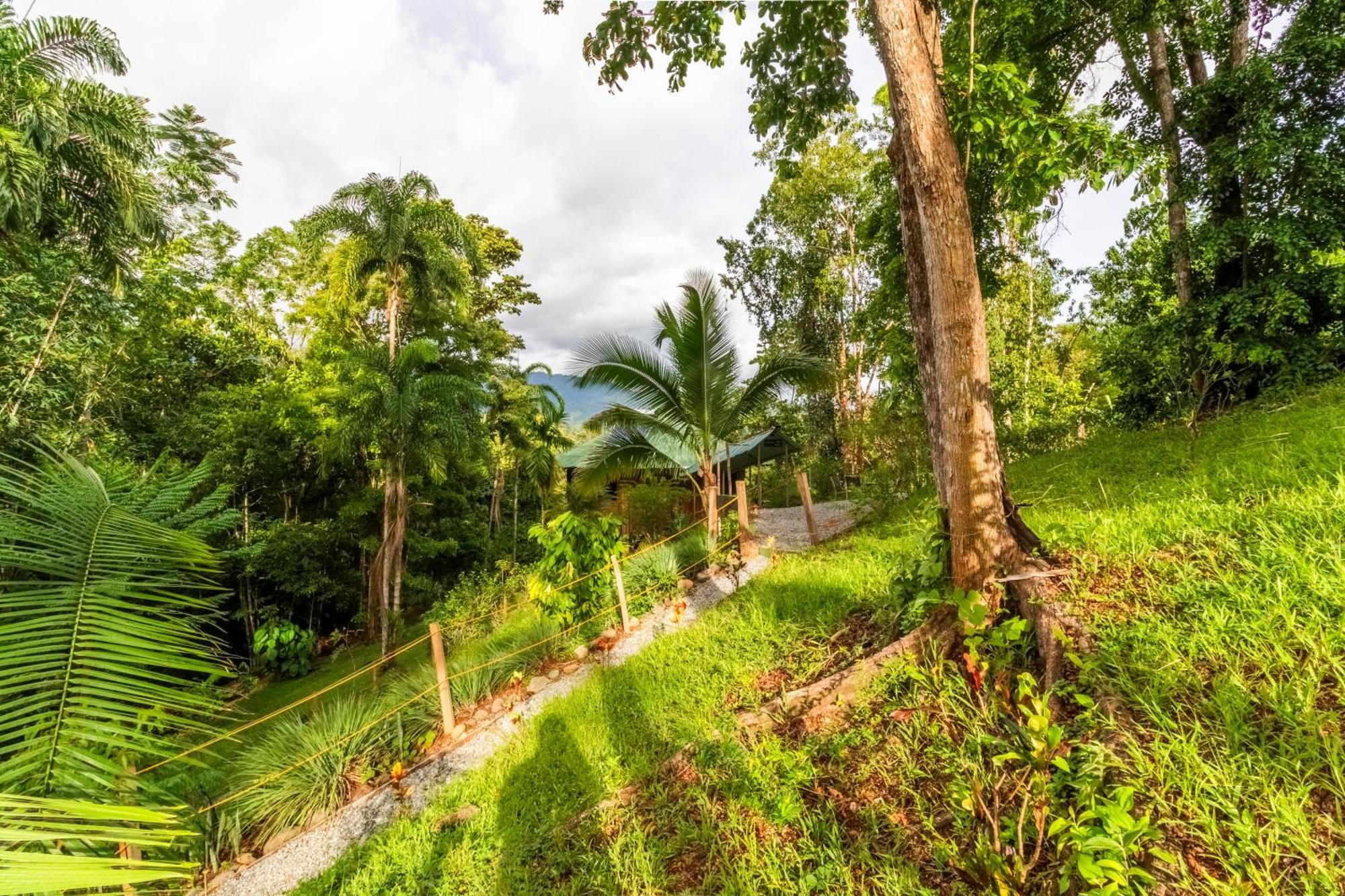 Paradiselodge Jungleguesthouse Holiday home