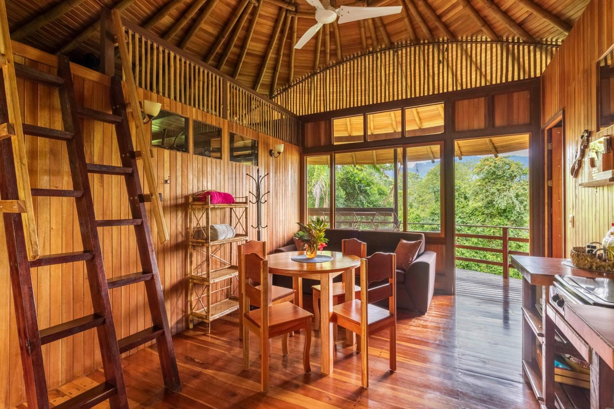 Paradiselodge Jungleguesthouse Holiday home Platanillo