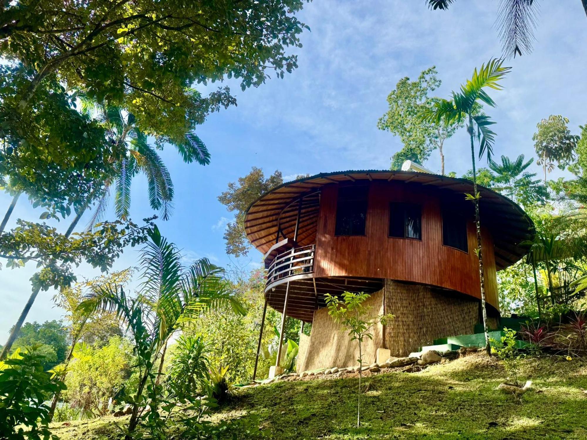 Paradiselodge Jungleguesthouse *