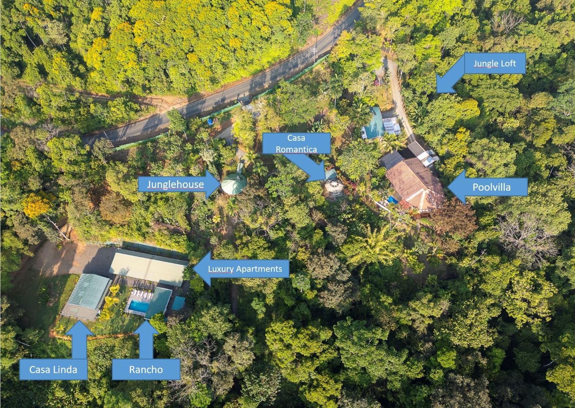 Paradiselodge Jungleguesthouse Platanillo
