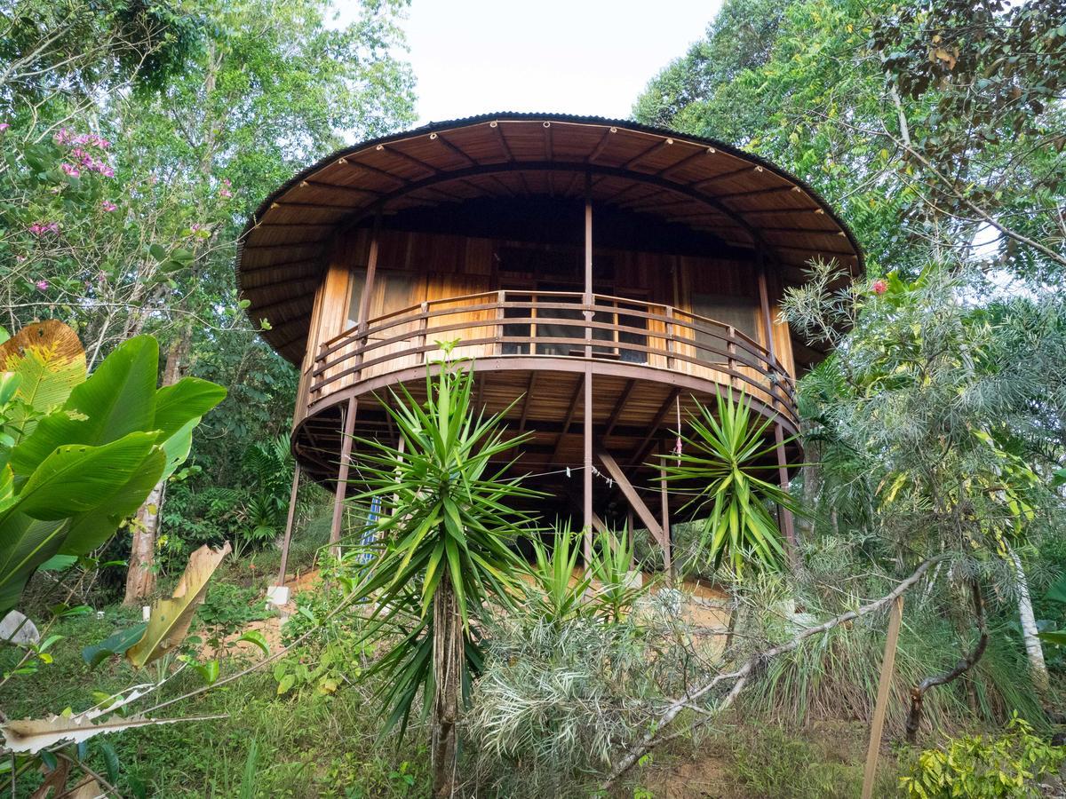 Paradiselodge Jungleguesthouse Platanillo